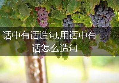 话中有话造句,用话中有话怎么造句