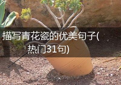 描写青花瓷的优美句子(热门31句)