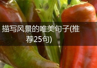 描写风景的唯美句子(推荐25句)