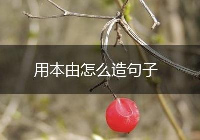 用本由怎么造句子