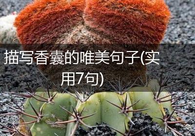 描写香囊的唯美句子(实用7句)