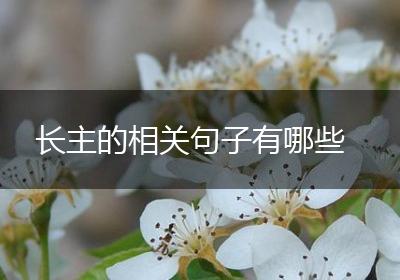 长主的相关句子有哪些