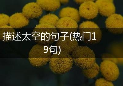 描述太空的句子(热门19句)