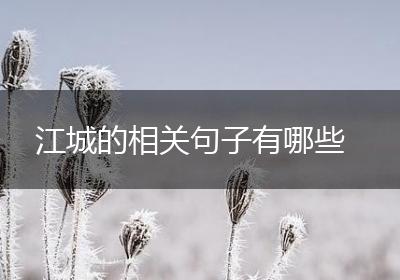 江城的相关句子有哪些