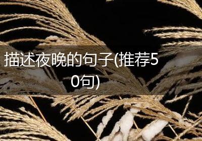 描述夜晚的句子(推荐50句)
