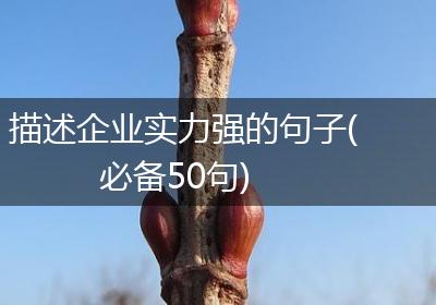 描述企业实力强的句子(必备50句)