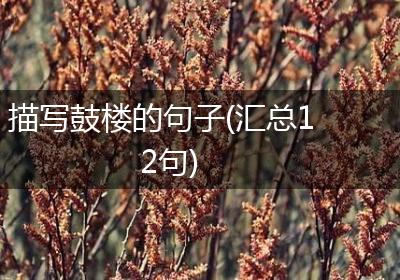 描写鼓楼的句子(汇总12句)