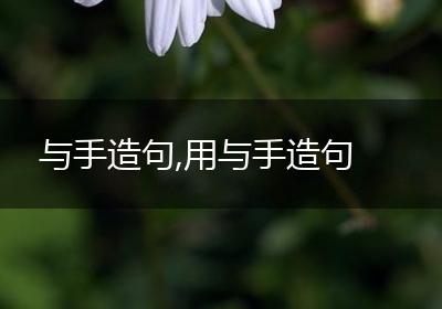 与手造句,用与手造句