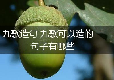 九歌造句 九歌可以造的句子有哪些