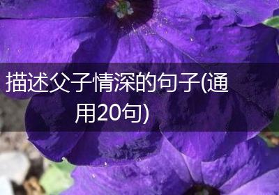 描述父子情深的句子(通用20句)