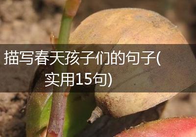 描写春天孩子们的句子(实用15句)