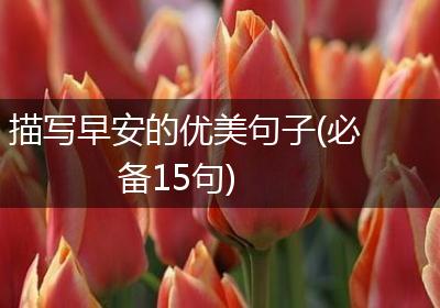描写早安的优美句子(必备15句)