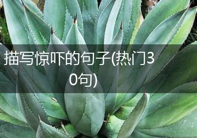 描写惊吓的句子(热门30句)