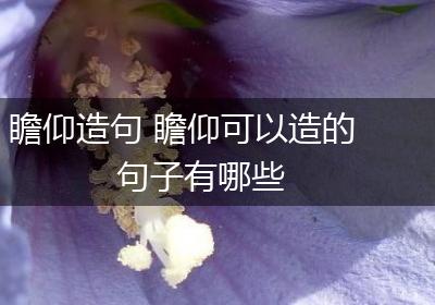 瞻仰造句 瞻仰可以造的句子有哪些