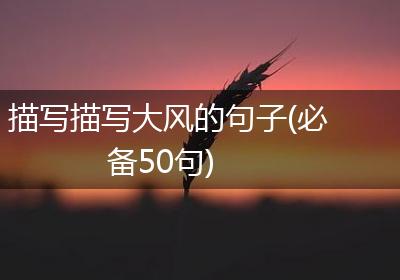 描写描写大风的句子(必备50句)