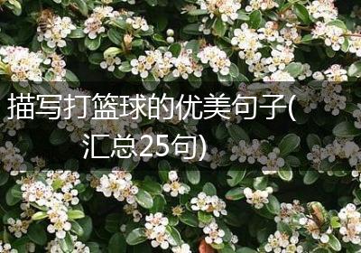 描写打篮球的优美句子(汇总25句)