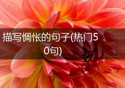 描写惆怅的句子(热门50句)