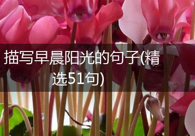 描写早晨阳光的句子(精选51句)