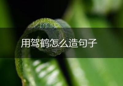 用驾鹤怎么造句子
