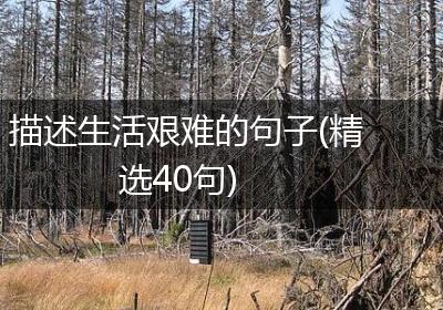 描述生活艰难的句子(精选40句)