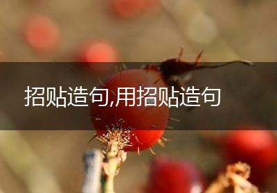 招贴造句,用招贴造句