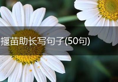 揠苗助长写句子(50句)