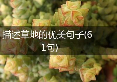 描述草地的优美句子(61句)