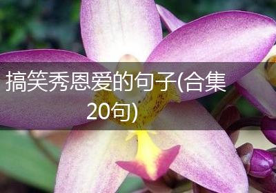 搞笑秀恩爱的句子(合集20句)
