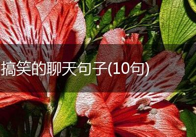 搞笑的聊天句子(10句)
