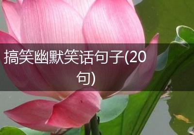 搞笑幽默笑话句子(20句)