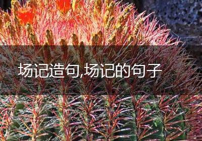 场记造句,场记的句子