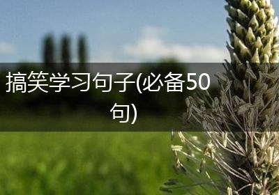 搞笑学习句子(必备50句)