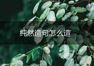 纯然造句怎么造