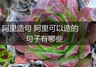 阿里造句 阿里可以造的句子有哪些