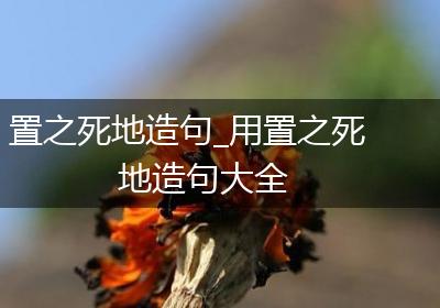 置之死地造句_用置之死地造句大全