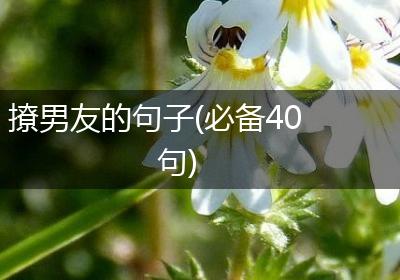 撩男友的句子(必备40句)