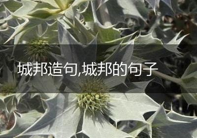 城邦造句,城邦的句子