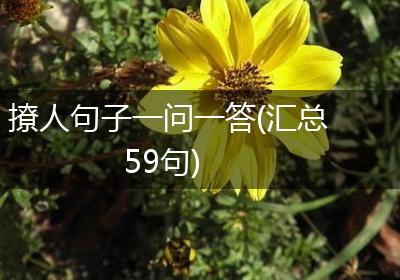 撩人句子一问一答(汇总59句)