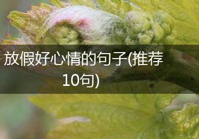 放假好心情的句子(推荐10句)