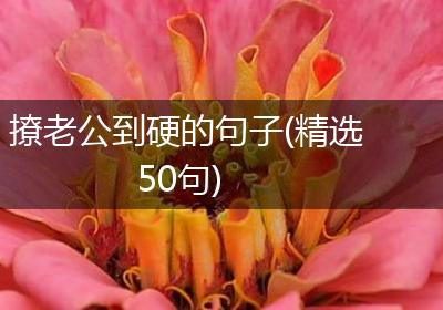 撩老公到硬的句子(精选50句)
