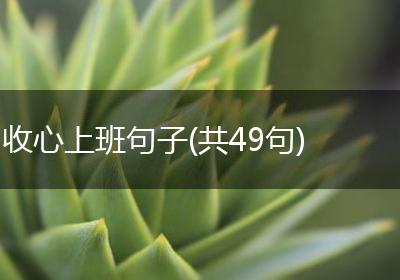 收心上班句子(共49句)
