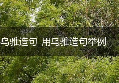乌骓造句_用乌骓造句举例
