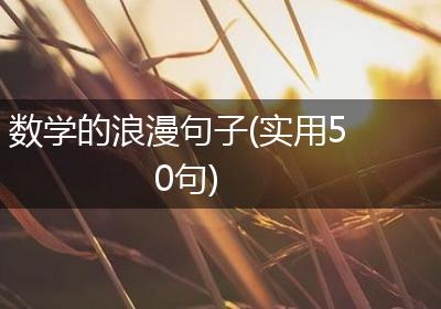 数学的浪漫句子(实用50句)