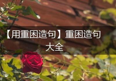 【用重困造句】重困造句大全