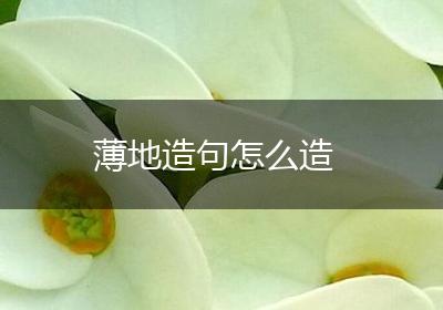 薄地造句怎么造