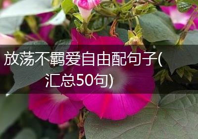 放荡不羁爱自由配句子(汇总50句)