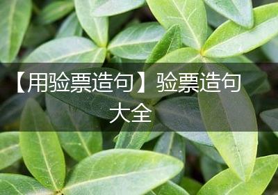 【用验票造句】验票造句大全