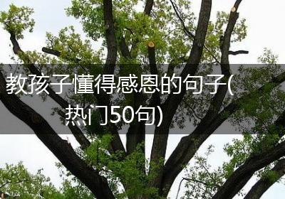 教孩子懂得感恩的句子(热门50句)