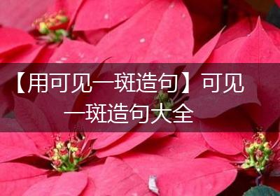 【用可见一斑造句】可见一斑造句大全