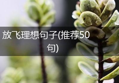 放飞理想句子(推荐50句)